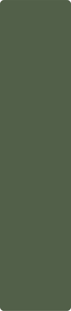 Bronze Green