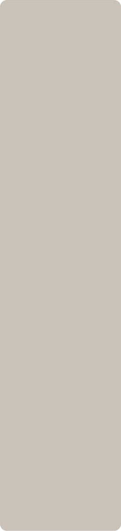 Pumice Stone