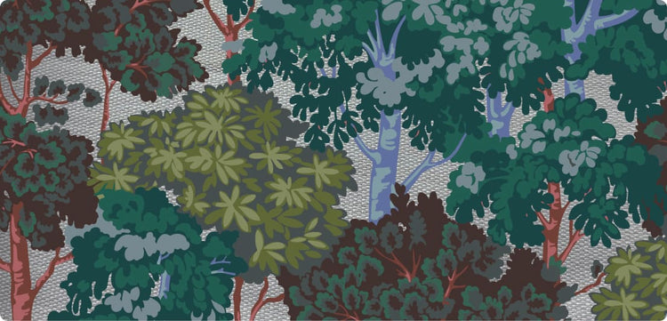Serene Forest