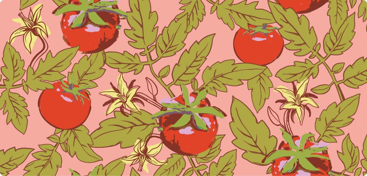 Tomato Vines