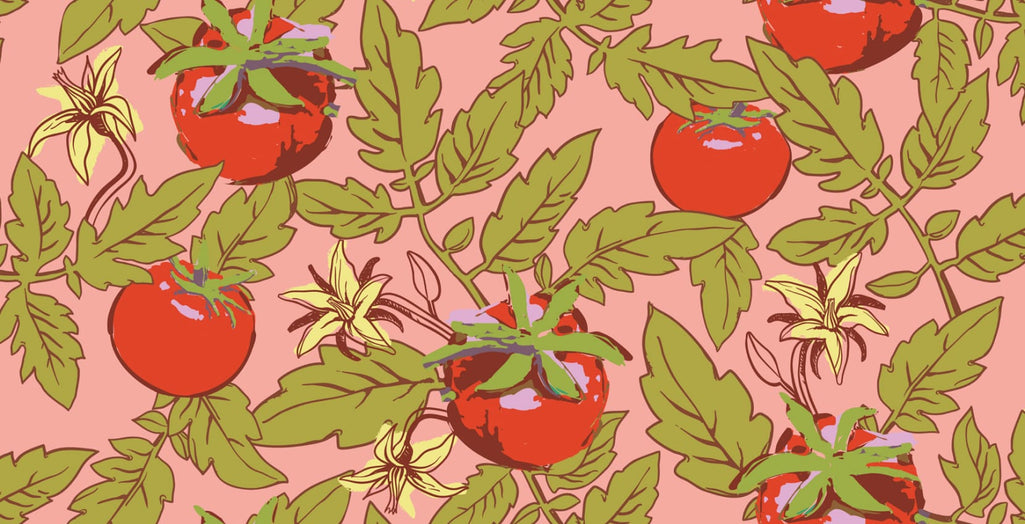 Tomato Vines