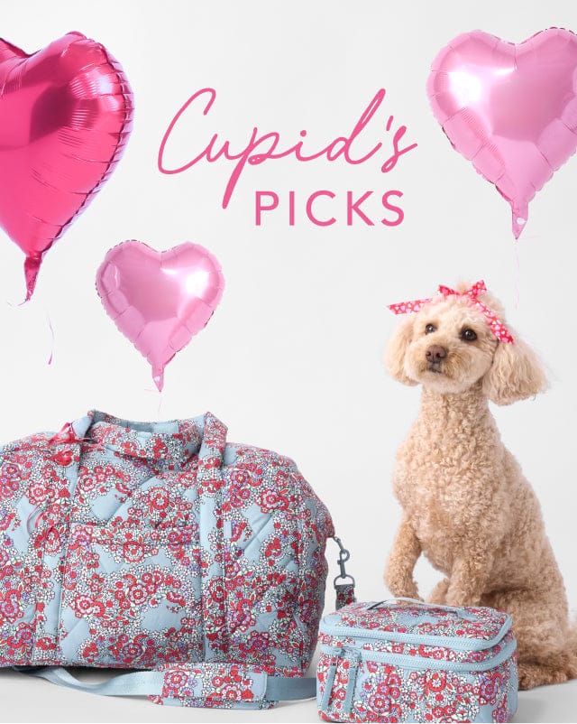 Valentine's Day Gifts