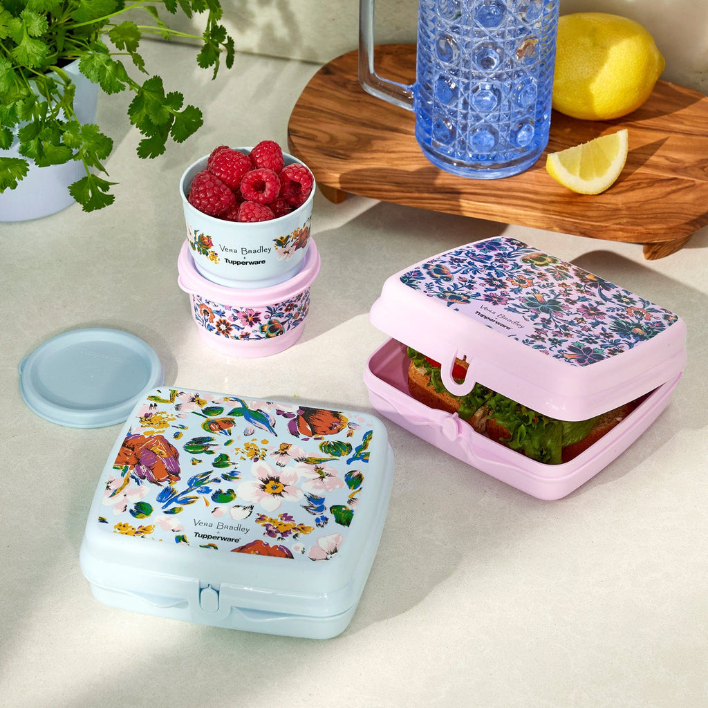 Amazon.com: Tupperware Plastic Elegant Lunch Set for Women (Pink): Home &  Kitchen