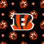 NFL Cooler-Cincinnati Bengals Bandana-Image 6-Vera Bradley