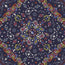 n_sm_22510.jpg