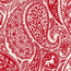 Plush Throw Blanket-Paisley Key-Image 3-Vera Bradley