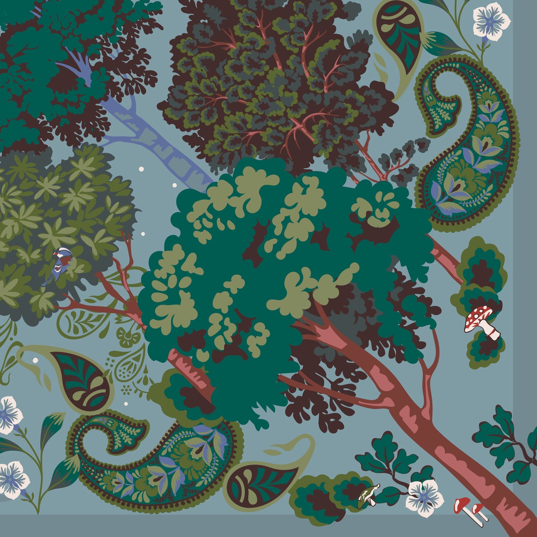 Zoom Image