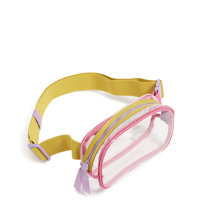 Clear Small Belt Bag