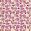 n_sm_21396.jpg