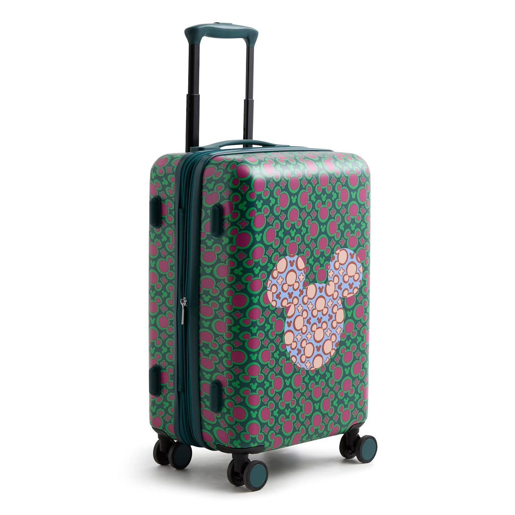 Disney 22 in Luggage