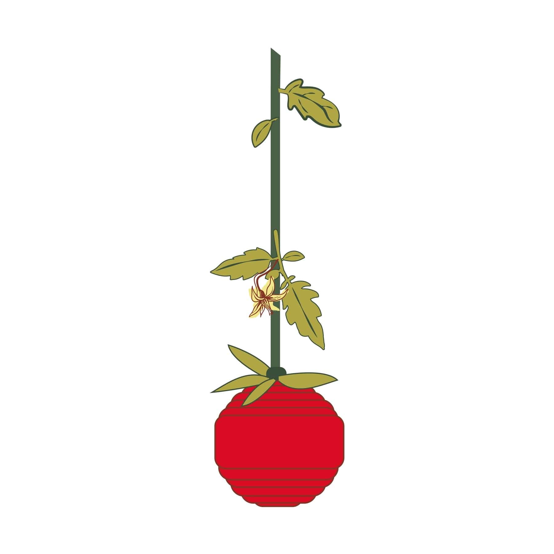 Tomato Bag Charm