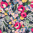 n_sm_23457.jpg