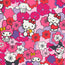 Hello Kitty® and Friends Large Pouch