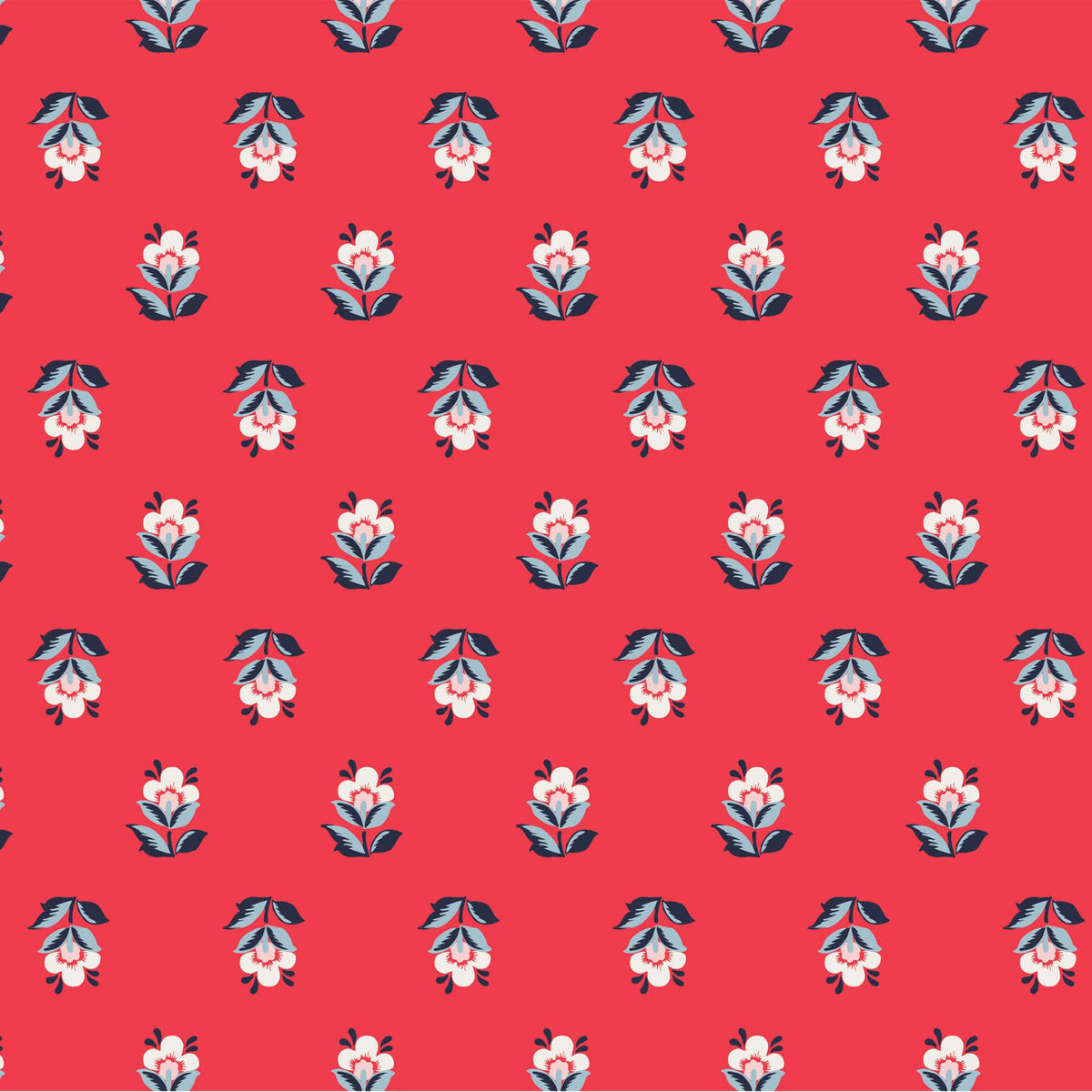 Zoom Image