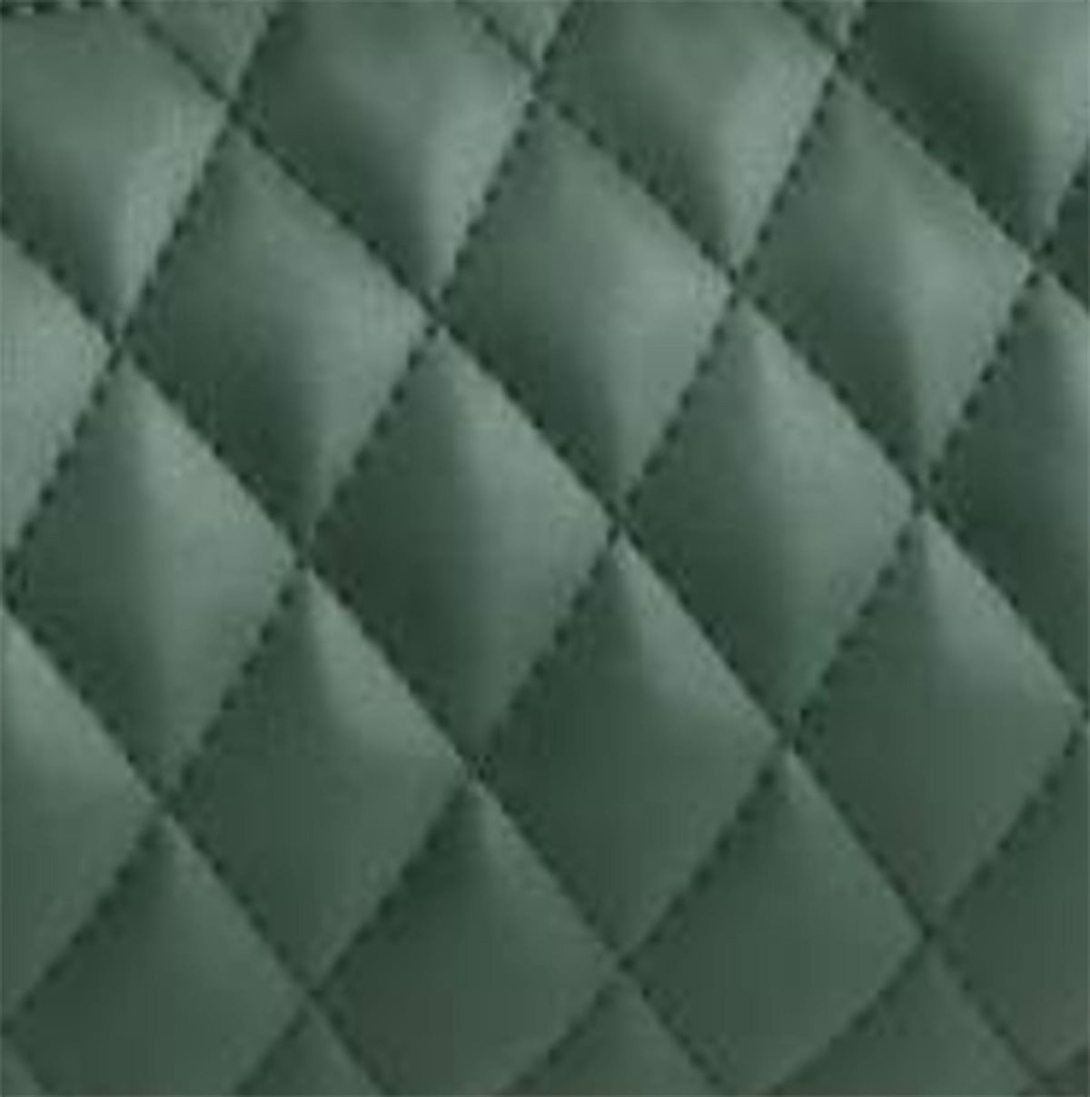 Zoom Image