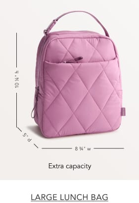 Large Lunch Bag