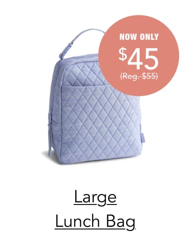 Large Lunch Bag