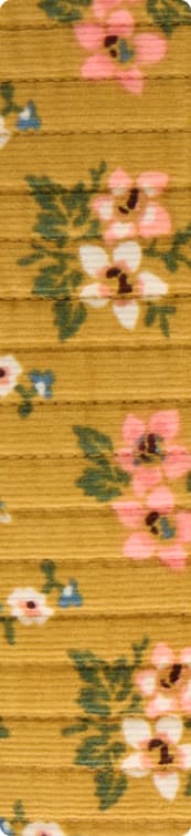 Corduroy