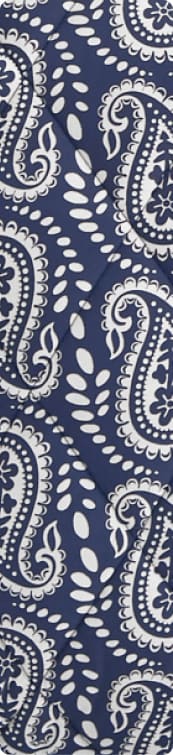 Waves Paisley
