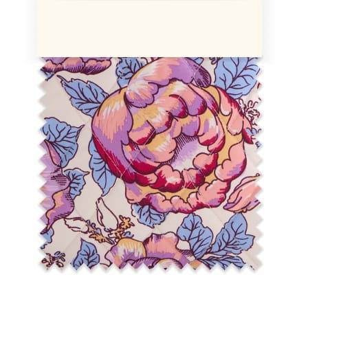 Cabbage Roses