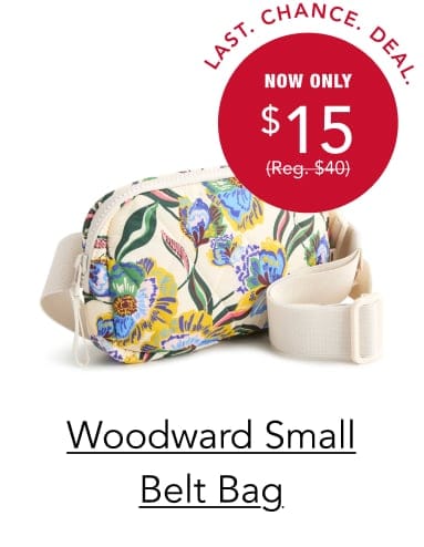 Woodward Small Belt Bag