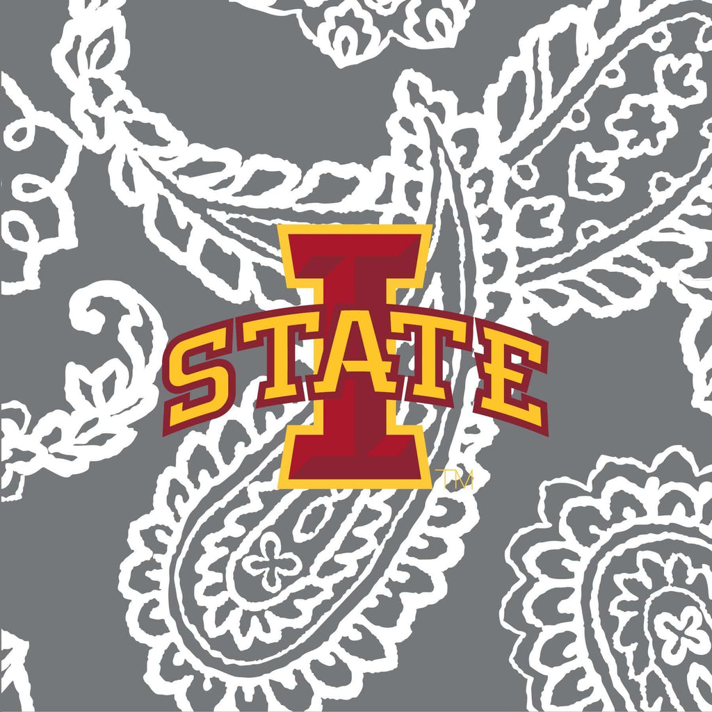 Iowa State University Collegiate Plush XL Throw Blanket Vera Bradley