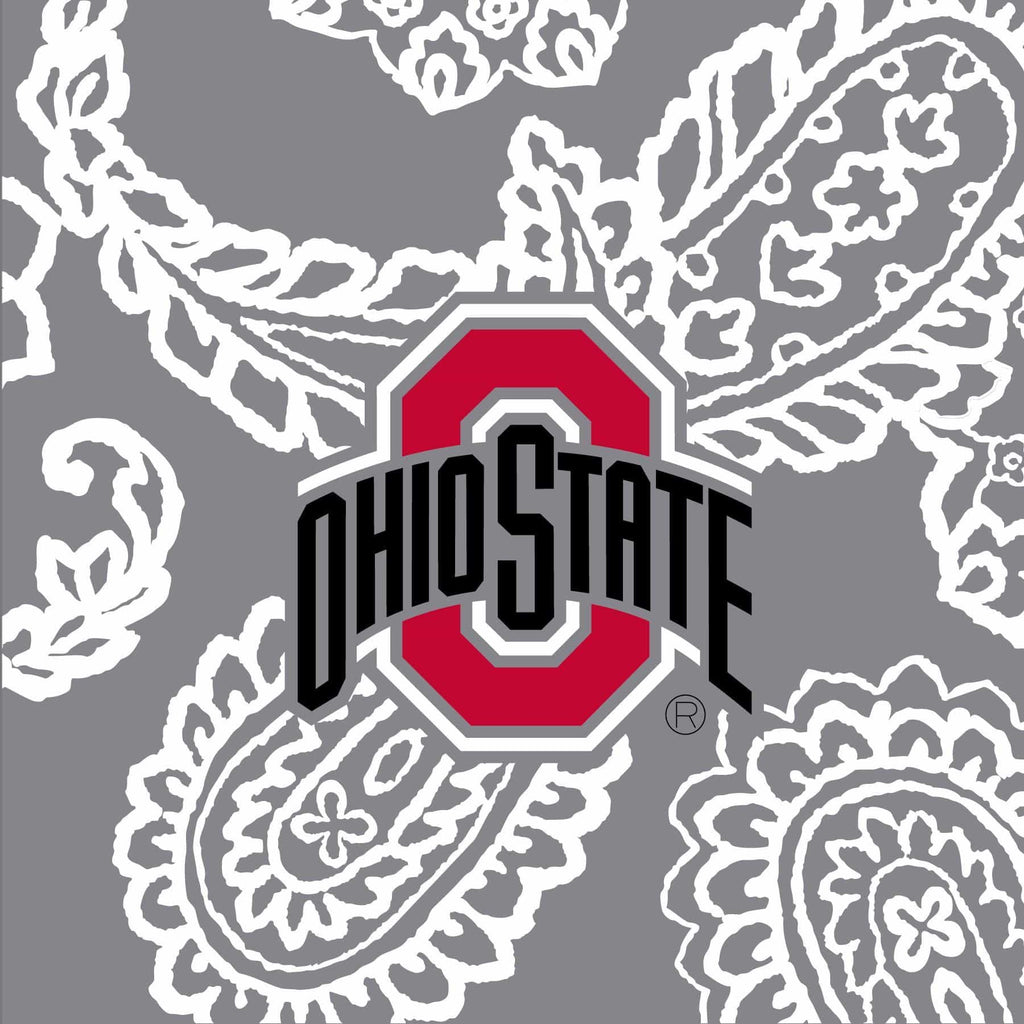 Collegiate Plush XL Throw Blanket - Gray/White | The Ohio State ...