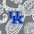 Collegiate Plush XL Throw Blanket-Gray/White Bandana with University of Kentucky Logo-Image 2-Vera Bradley