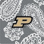 Collegiate Triple Zip Hipster Crossbody-Gray/White Bandana with Purdue Univeristy Logo-Image 2-Vera Bradley
