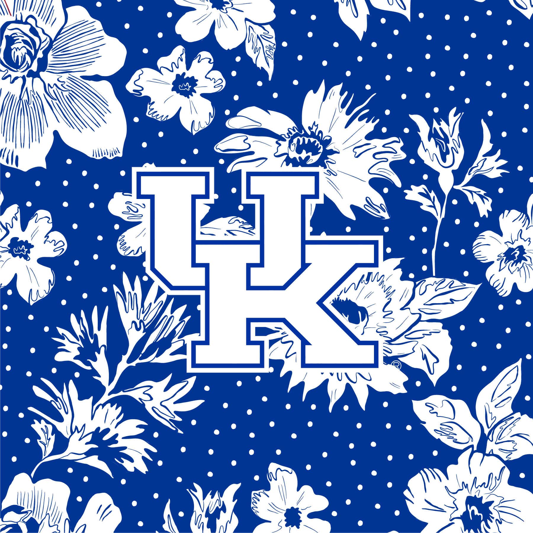 University of Kentucky Collegiate Plush XL Throw Blanket | Vera
