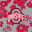 Tervis 24oz Wide Mouth Bottle-Gray/Red Rain Garden with The Ohio State University-Image 2-Vera Bradley
